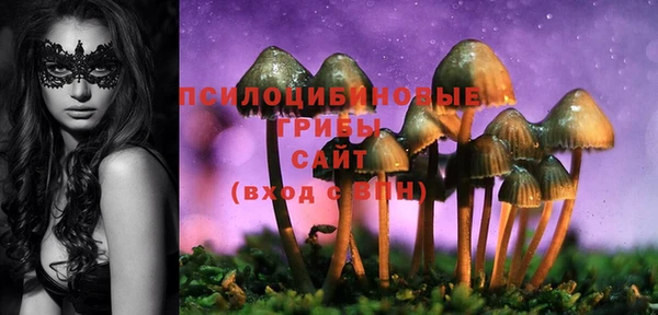 спиды Волоколамск