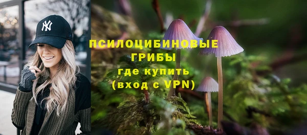 мет Верхний Тагил